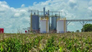 Photo of Productores de biodiesel alertan por crisis y apuntan al Gobierno