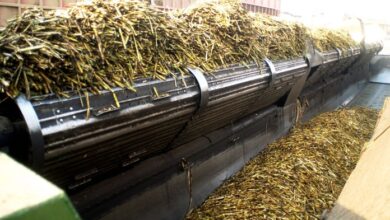 Photo of Crecieron 4,5% las exportaciones agroindustriales argentinas en el primer semestre de 2025