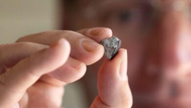 Photo of Un meteorito cayó sobre una casa y creen que podría ser más antiguo que la Tierra