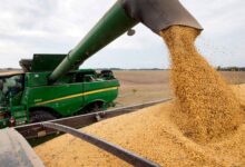 Photo of Julio marcó un récord histórico en liquidación de cereales: ingresaron más de US$ 4.100 millones