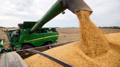 Photo of Julio marcó un récord histórico en liquidación de cereales: ingresaron más de US$ 4.100 millones