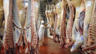Photo of El Gobierno eliminó temporalmente las retenciones a la carne bovina y avícola