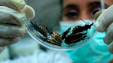 Photo of Día Nacional por una Argentina sin Chagas