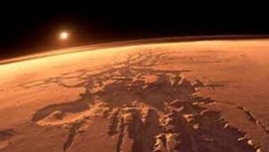 Photo of La NASA detectó posibles rastros de vida en Marte