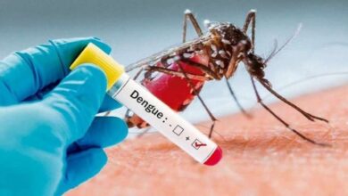 Photo of Conocé las principales recomendaciones para evitar la propagación del dengue
