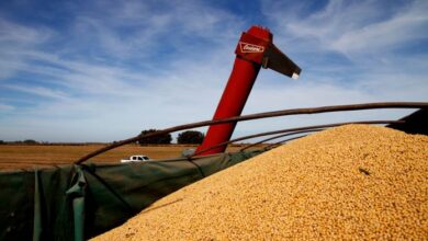 Photo of Las exportaciones agroindustriales crecieron 6% en volumen en los primeros 7 meses del año