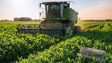 Photo of Provincia incrementó 470 % el monto destinado a créditos con tasa subsidiada para el sector productivo