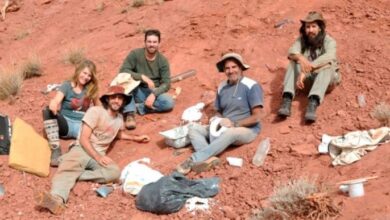 Photo of Hallaron a uno de los dinosaurios más antiguos del mundo en La Rioja