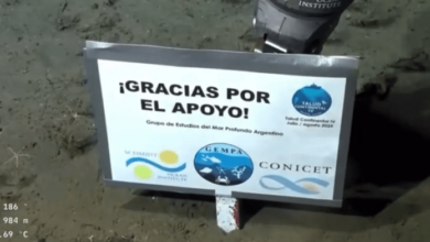 Photo of ¡Desde hoy! Nuevo stream del CONICET: buscarán fósiles de dinosaurios en Río Negro