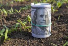 Photo of El Tesoro ya habría vendido el 60% de los dólares que compró ante la liquidación del agro