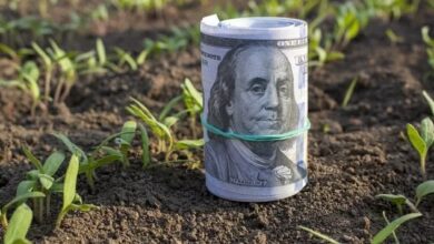 Photo of El Tesoro ya habría vendido el 60% de los dólares que compró ante la liquidación del agro