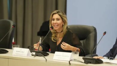 Photo of Romina Diez impulsa la reforma laboral en el Congreso