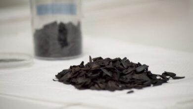 Photo of Investigadores del CONICET desarrollan un método para eliminar arsénico y nitratos del agua con carbón vegetal