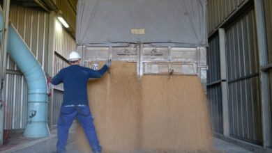 Photo of Las exportaciones agroindustriales crecieron 21% en septiembre